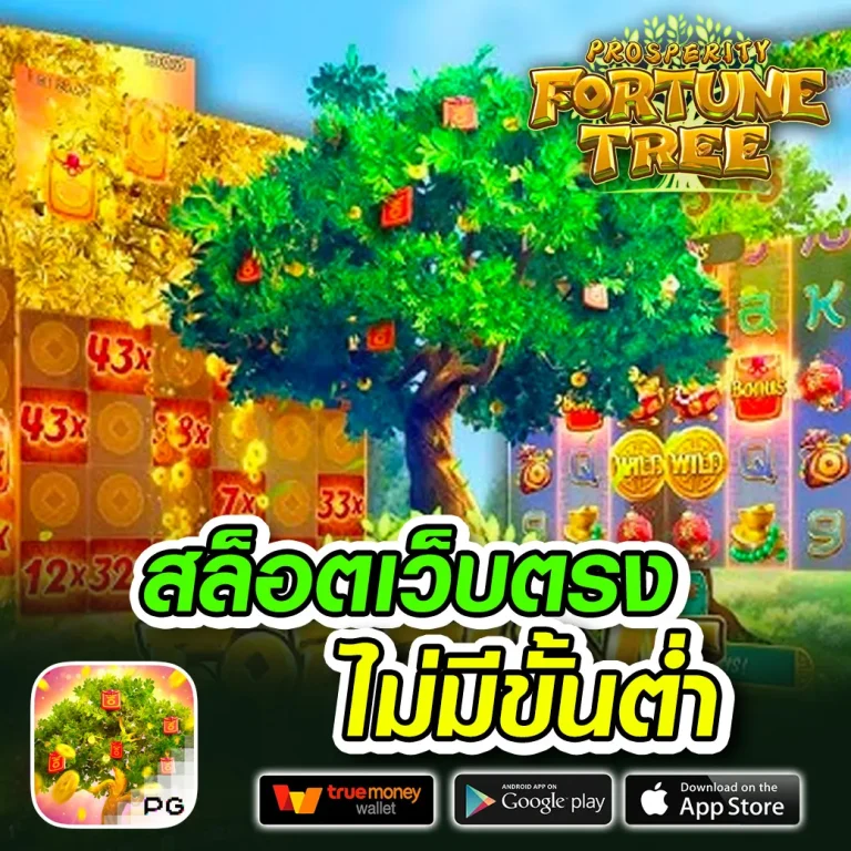 iamwin ทางเข้า